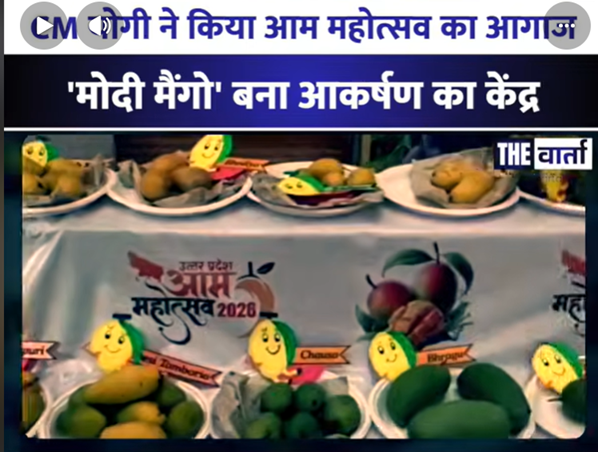 मोदी मैंगो’ बना आकर्षण का केंद्र