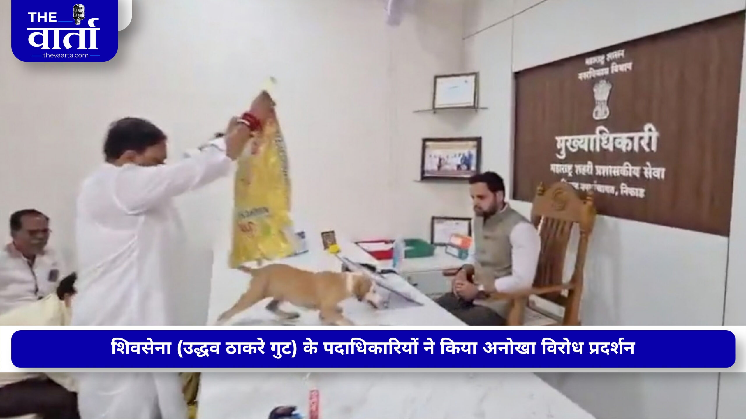 बोरे में भरे आवारा कुत्ते…. छोड़ दिए अधिकारी की मेज पर, निफाड में शिवसेना के कार्यकर्ताओं का वीडियो वायरल