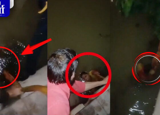 लखनऊ के कृष्णानगर में नहर में कूदी महिला को पुलिस ने बचाया